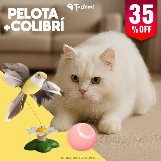 JUGUETE VOLADOR DE COLIBRI + PELOTA PARA GATO