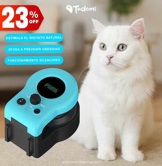 CIRCUITO DE ENTRETENIMIENTO PARA GATOS